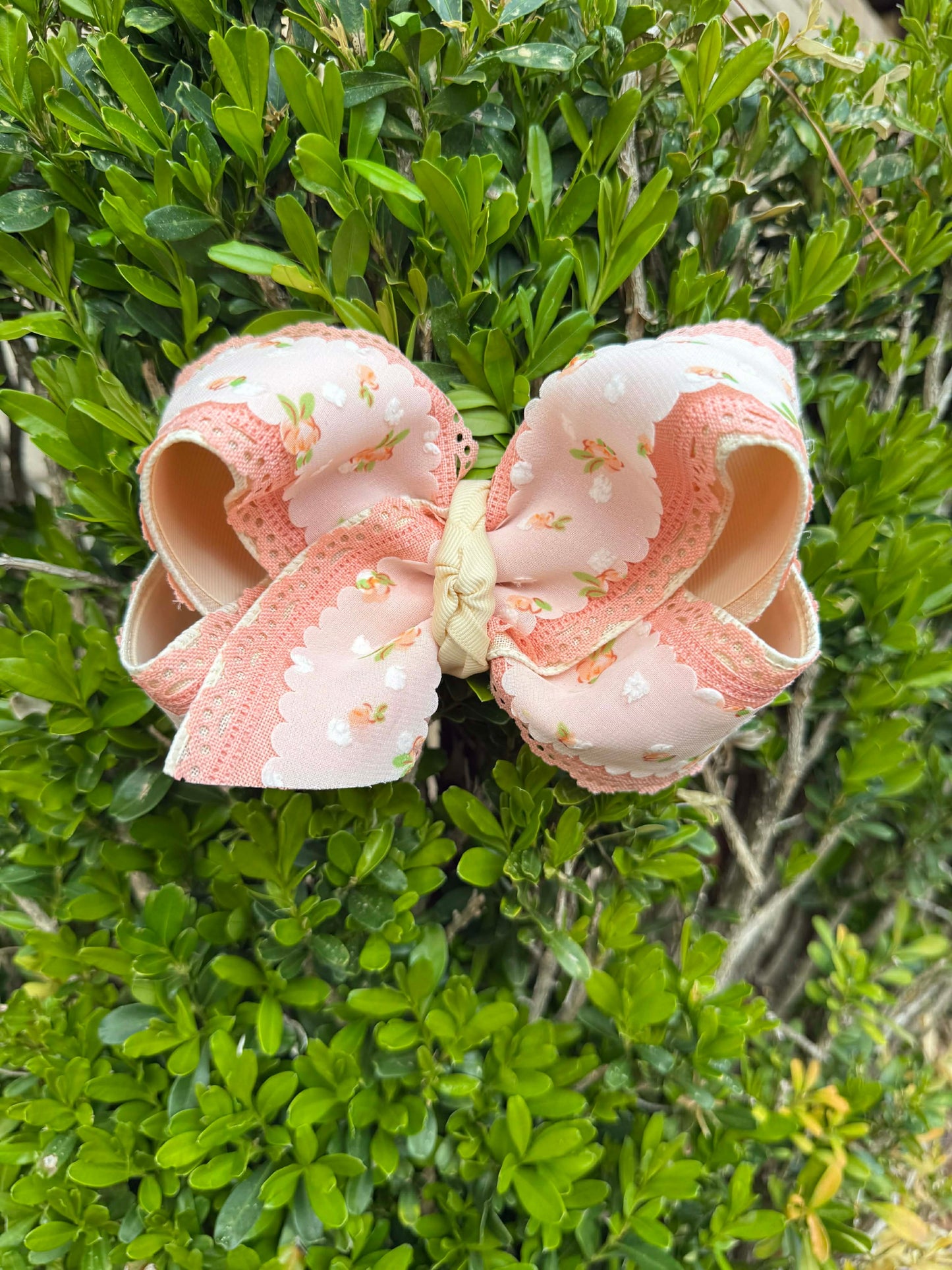 Peach Roses and Scalloped