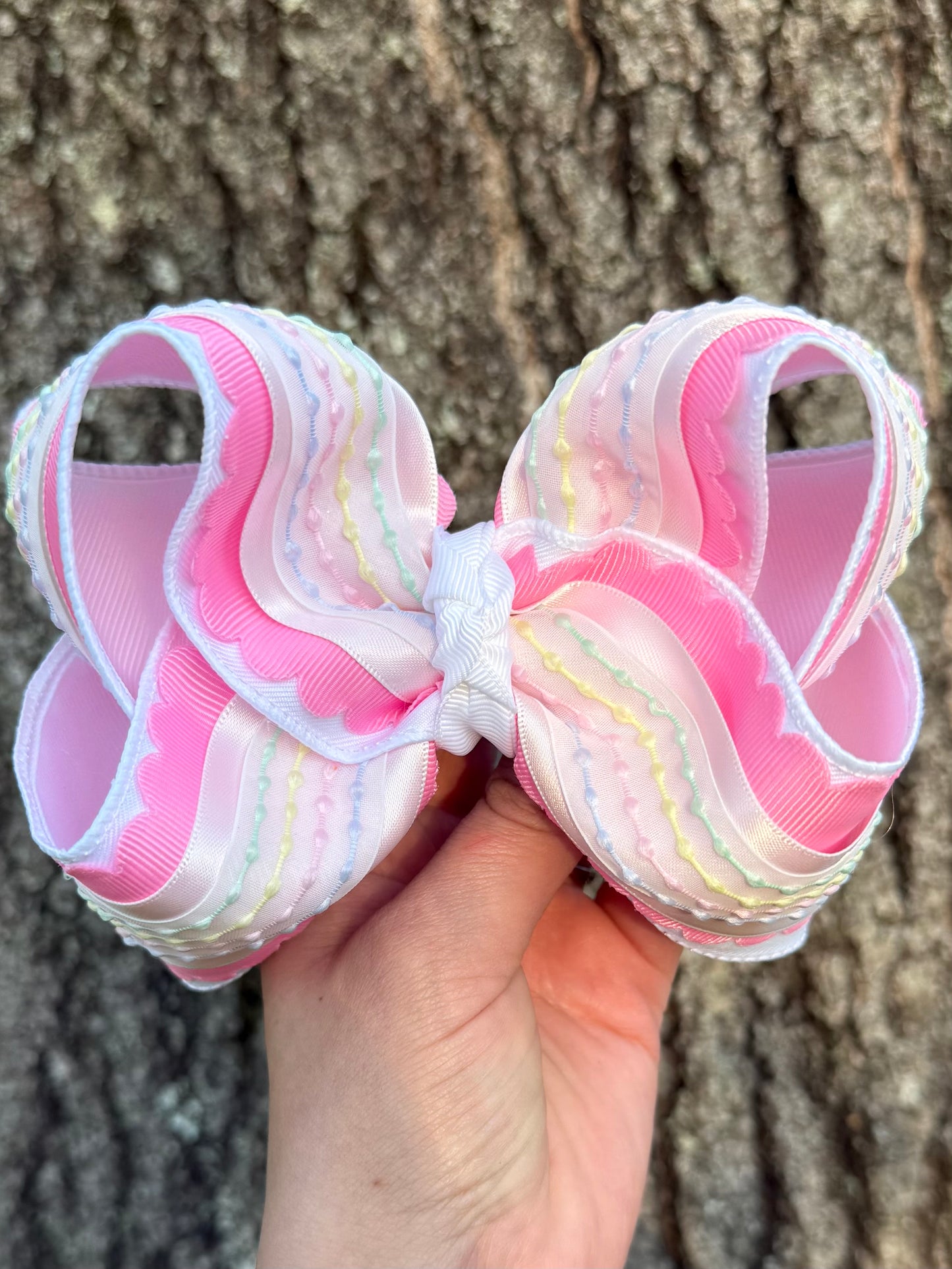 Pink scallop, rainbow lace